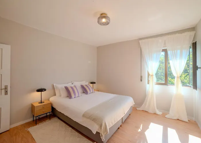 Viva Spacious 3 Bedroom Appartement Oporto