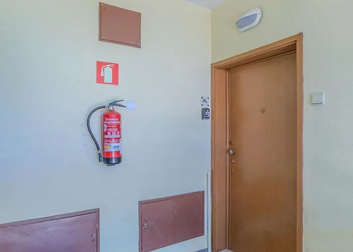 Viva Spacious 3 Bedroom * Oporto