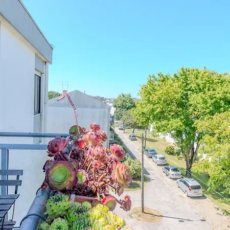 Apartament Viva Spacious 3 Bedroom Porto