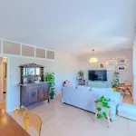 Viva Spacious 3 Bedroom